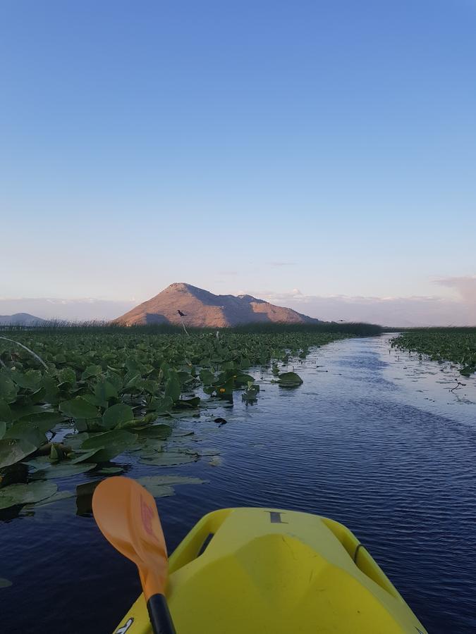 Village experience - Skadar lake Virpazar Exteriör bild